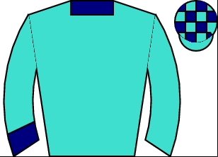 Horse silk