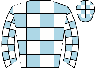 Horse silk