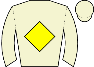 Horse silk