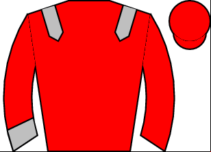Horse silk