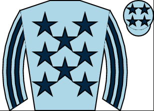 Horse silk