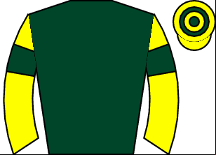 Horse silk