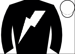 Horse silk