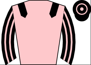 Horse silk