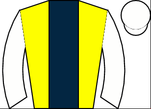Horse silk