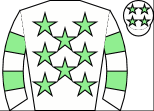 Horse silk