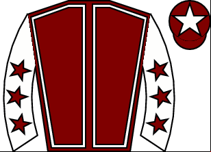 Horse silk