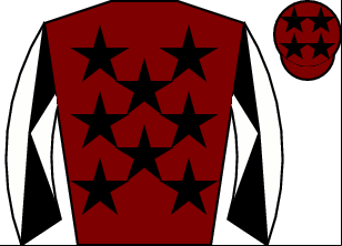 Horse silk