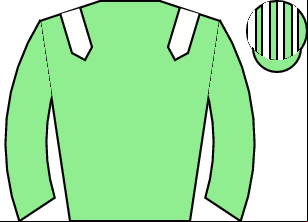 Horse silk