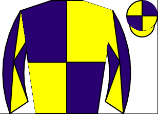 Horse silk