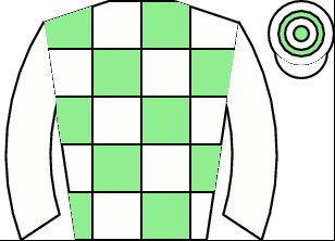 Horse silk