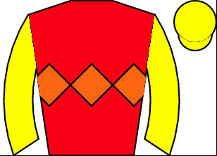 Horse silk