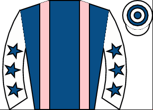 Horse silk