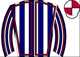 Horse silk