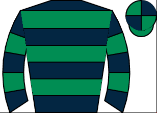 Horse silk