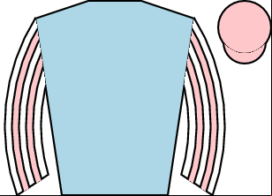 Horse silk