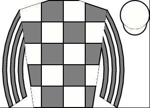 Horse silk