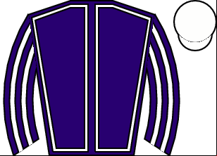Horse silk
