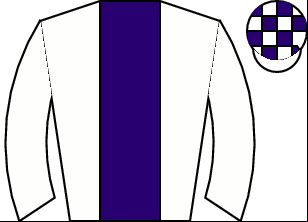 Horse silk