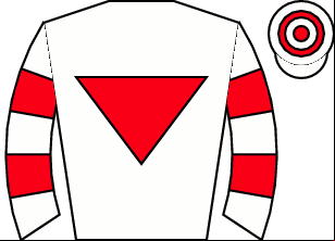 Horse silk