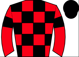 Horse silk