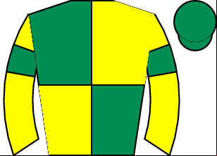 Horse silk