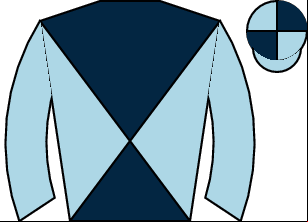 Horse silk
