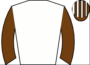 Horse silk