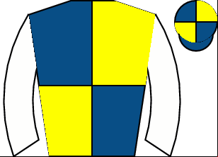 Horse silk