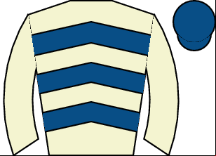 Horse silk