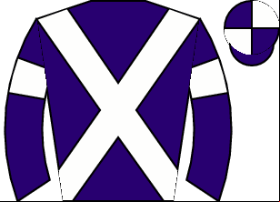 Horse silk