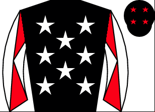 Horse silk