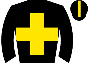 Horse silk