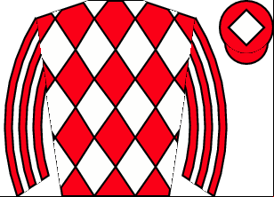 Horse silk