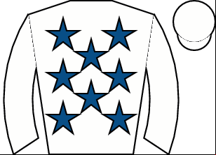 Horse silk