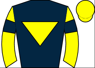 Horse silk