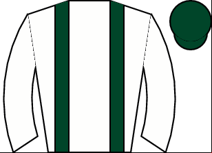 Horse silk