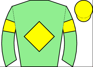 Horse silk