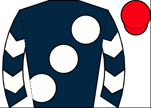 Horse silk