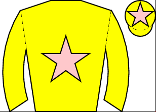 Horse silk