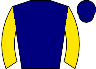 Horse silk