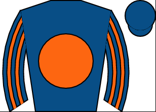 Horse silk