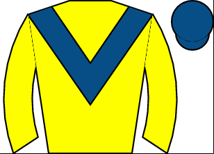 Horse silk
