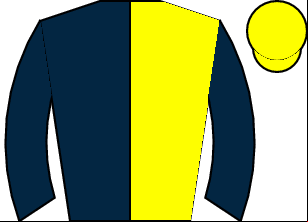 Horse silk