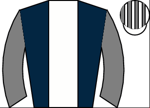 Horse silk