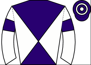 Horse silk