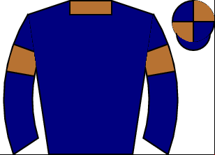 Horse silk