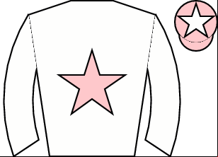 Horse silk