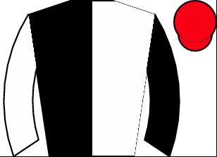 Horse silk