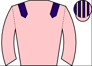 Horse silk